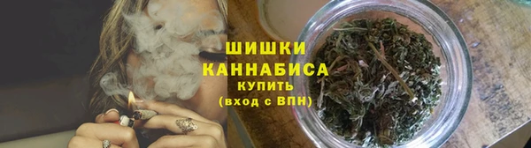 крисы Баксан